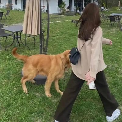替死鬼
